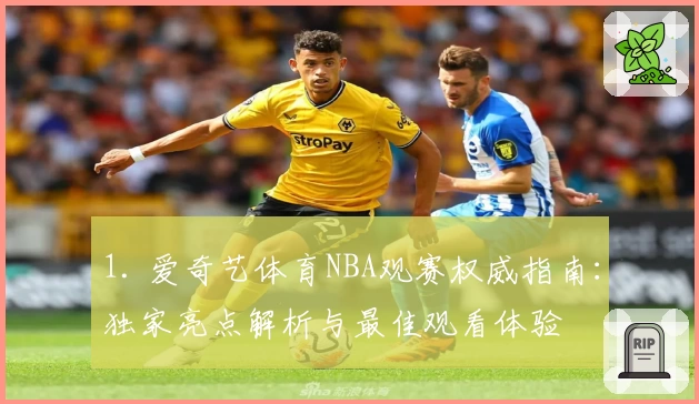1. 爱奇艺体育NBA观赛权威指南：独家亮点解析与最佳观看体验